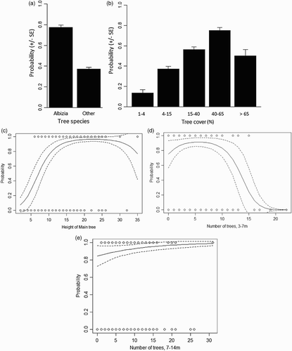 Figure 2. Significant predictors of the probability of occurrrence of Wood Warblers at Pepease in Ghana (regression lines from the best model in Table 4 with mean values for other variables, ‘treesp’ = Albizia and ‘treecov’ = 3): (a) tree cover, (b) tree species, (c) Main tree height, and the number of trees of height, (d) 3–7 m and (e) 7–14 m.