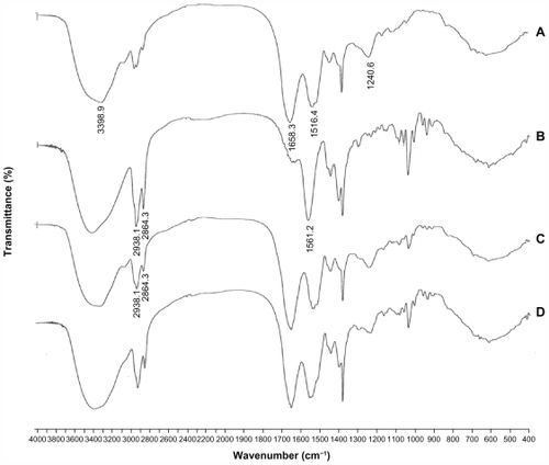 Figure 3 Infrared spectra of (A) insulin, (B) sodium deoxycholate, (C) the insulin-sodium deoxycholate complex, and (D) the insulin-sodium deoxycholate physical mixture.