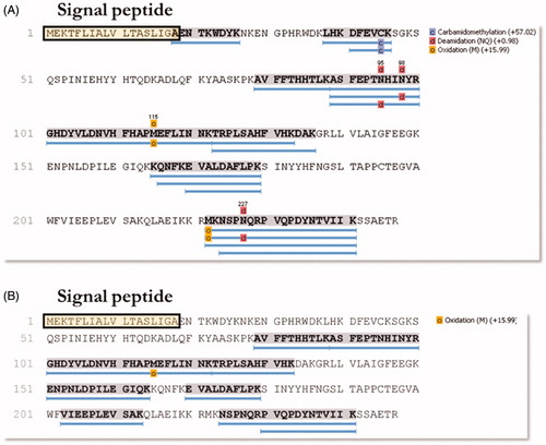 Figure 6. Schematic representation of the sequence coverage of the identified CAs in WCE (A) and pOMVs (B) from H. pylori. The signal peptide is highlighted on both panels. The overlap between the last AA of the signal peptide and the first AA of the identified sequence AENTKWDYK can be noted. The lists of all the identified proteins are provided as Supporting Information.