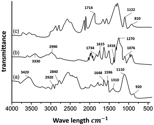 Figure 2. FTIR spectra of TMC NPs, a: TMC, b: Dox, c: Dox-TMC.