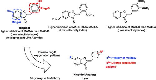 Figure 1. Positional scanning of hispidol’s ring-B towards generation of hispidol analogues’ focussed library based on monoamine oxidases inhibition and selectivity of hispidol and other methoxylated-aurones.