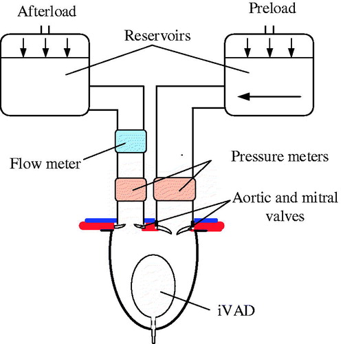 Figure 5. Schematic of a mock cardiovascular system.