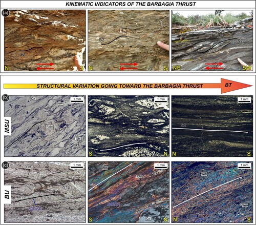 Figure 3. (a) Mesoscopic kinematic indicators of mylonites belonging to the Barbagia Thrust indicating a top-to-the S-SW sense of shear. (b,c) Structural variation going toward the Barbagia Thrust in both units. (b) variation from mylonites (on the left) to ultramylonites (on the right) in metavolcanic rocks belonging to the MSU. (c) Progressive variation of the foliation from spaced cleavage to a continuous cleavage moving toward the BT in metasedimentary rocks.