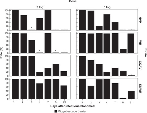 Figure 13 Midgut escape barrier (MEB) rates. No significant difference between dose groups was found in overall MEB rates for any strain. Asterisks mark time points where MEB rates could not be estimated because no indication of gut infection was seen (MIB rate = 100%).