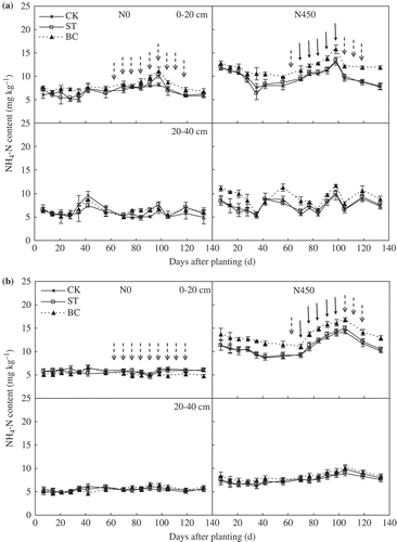 Figure 4. Soil ammonium-nitrogen (NH4-N) concentrations in the 0–20 and 20–40 cm depths as affected by soil treatment and nitrogen (N) application in (a) 2013 and (b) 2014. ‘ Display full size‘ represents irrigation, ‘ Display full size‘ represents fertigation. Error bars represent the standard error (SE; n = 3). Abbreviations: N0, no N fertilizer; N450, 450 kg N ha−1; CK, no amendment; ST, cotton (Gossypium hirsutum L.) straw amendment; BC, biochar amendment.