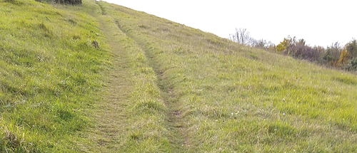 Figure 6. Sheep-grazed grass track going uphill.