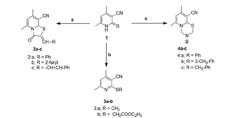 Scheme 1. Utilisation of compound 1 to produce series 2–4 (a = ClCH2COOH, Ac2O, AcOH, NaOAc along with an aldehyde RCHO, b = RX where X = Br or I, c = RNH2 and HCHO).