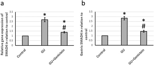 Figure 6. Effect of gastric ulcer (GU) and 25 mg/kg genistein on gene expression of suppressor of Mothers against Decapentaplegic (SMAD)4 (a) and its gastric protein level (b). * Significant difference as compared with control group at p < 0.05. # Significant difference as compared with GU group at p < 0.05.