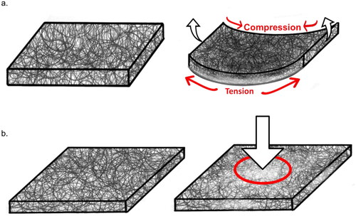 Figure 2. Illustration of structural response to a. flexural strain and b. low-force impact. External stress and strain deform the CNT network, leading to changes in electrical resistance.