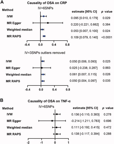 Figure 4. Causality analysis for OSA on CRP or TNF-α by Mendelian Randomisation (MR). Several MR methods were used to analyse the causality for OSA as exposure, CRP (A) and TNF-α (B) as outcomes respectively. If heterogeneity existed, outliers were removed and following similar analysis again. IV: instrumental variable. SNP: single nucleotide polymorphism. IVW: inverse variance weighted. MR RAPS: MR-Robust Adjusted Profile Score (RAPS). The statistically different results with p<.05 were shown in blue point otherwise were shown in black point if p >.05.