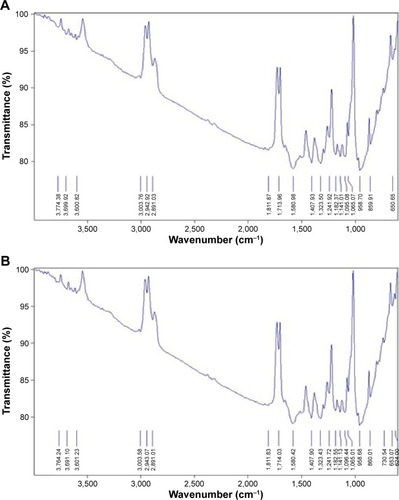 Figure 7 FTIR spectra of AgNPs.Notes: (A) CE-mediated AgNPs. (B) WPE-mediated AgNPs.Abbreviations: FTIR, Fourier-transform infrared; AgNPs, silver nanoparticles; CE, callus extract; WPE, whole plant extract.