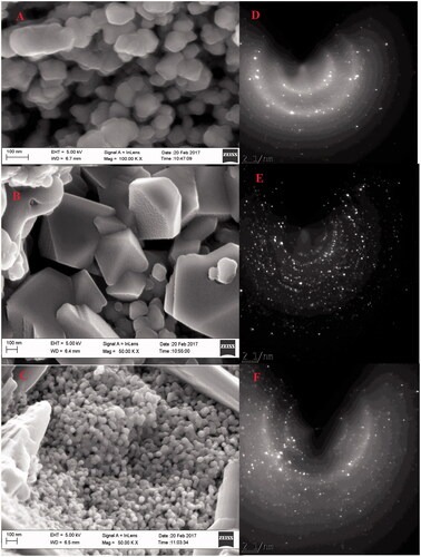 Figure 4. (A–C) HR-SEM images of biogenic IONPs; (D–F) their SAED pattern.