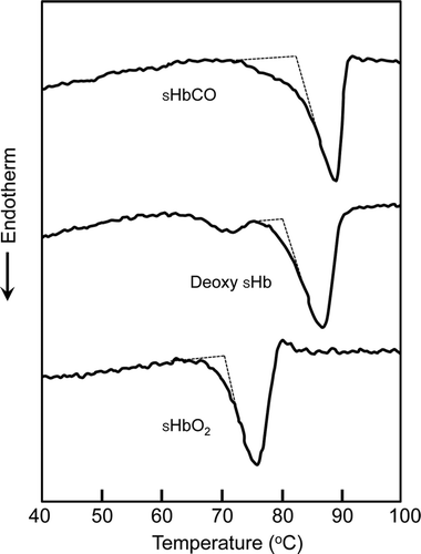 Figure 1. Calorimetric thermograms of SHbs in oxy, deoxy, and carbonyl forms. [Hb] = 10 g/dl, 60 µl, scanning rate = 1.0 °C/min.