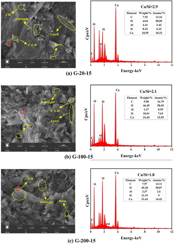 Figure 15. SEM-EDS images of 28 d cement mortar with different glass particle sizes.