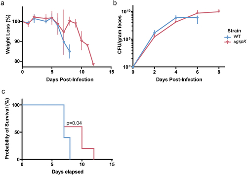 Figure 3. C. rodentium T2SS is necessary for successful infection in C3H/HeJ mice. (a) Weight loss post-infection in WT and T2SS-deficient strains, presented as a proportion of weight (g) measured before C. rodentium infection. n = 5 for each group, error bars indicate standard deviation. (b) Bacterial load of C. rodentium shed in the feces post-infection as determined by selective plating and counting CFU. n = 5 for each group, error bars indicate standard deviation. (c) Probability of survival represents the proportion of mice that have not reached the pre-determined humane endpoints with regards to infection symptoms. n = 5 for each group. Probability of survival in WT- and ΔgspK-infected mice was compared using the log rank test.