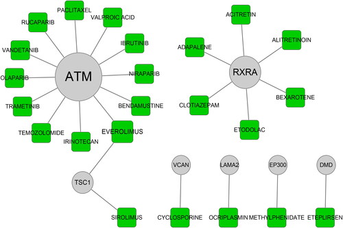 Figure 8. Drug–gene interaction. The potential targeting relationship between candidate drugs and hub genes.