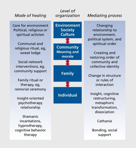 Figure 2. Metaphorical model of healing in Aboriginal populations. Adapted from ref 42: Kirmayer LJ. The cultural diversity of healing: meaning, metaphor and mechanism. Br Med Bull. 2004;69:33-48. Copyright © Oxford University Press 2004