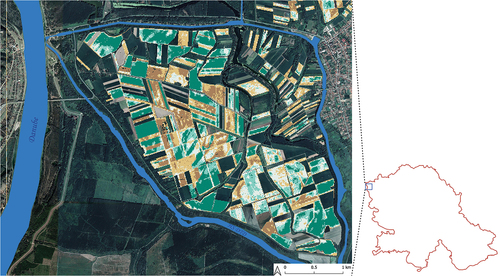 Figure 8. Overclassified irrigated parcels near the Danube riverbed (base map source: Google satellite).