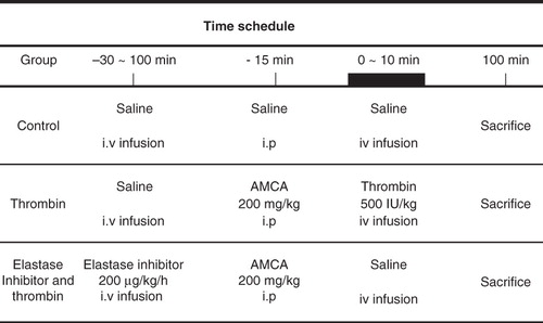 Figure 1. Experimental protocol.