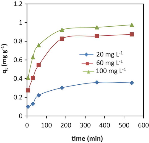 Figure 4. Effect of contact time on adsorption of different concentrations of Cr (III) ions (20, 60 and 100 mg L−1) on VB. (Adsorbent dose 50 g L−1, solution pH 6 and reaction temperature 25 ± 0.5°C).