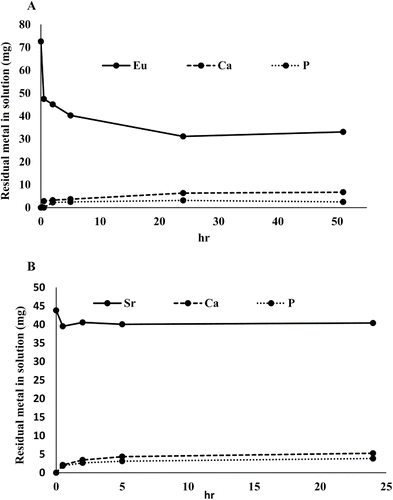 Figure 3. (A) Eu3+ uptake by 100 mg bio-HA (measured colorimetrically) and calcium and phosphorus leaching from 100 mg bio-HA. (B) Sr2+ uptake by 100 mg bio-HA, measured by ICP-OES. Calcium and phosphorus leaching from 100mg bio-HA. Solid lines: Eu3+ and Sr2+ removal. Dashed lines: release of Ca2+. Dotted lines: release of phosphate. Errors (SEM) were generally within 5% of the mean throughout.