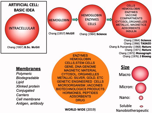Figure 1. Upper (from left to right): Basic idea of artificial cells that led to different types of early artificial cells. Lower: Present status of artificial cells with unlimited variations in contents, membrane material and dimensions. Updated from Chang [Citation9,Citation10] with copyright permission.