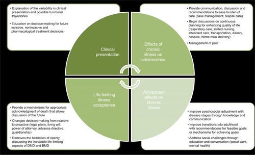 Figure 1 Roles and function of palliative care across areas of identified need.