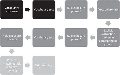 Figure 1. A visual representation of the structure of the experiment. The top darkest boxes show the parts of the vocabulary training. The middle lighter boxes show the different parts of the rule training. The bottom lightest boxes shows the test phase.