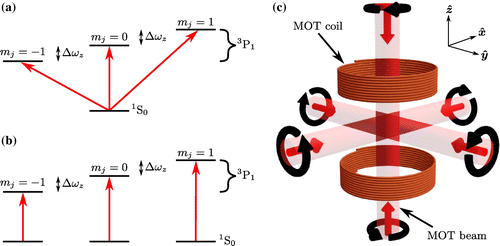 Figure 2. (a) Energy level structure of the nMOT. Δωz is the Zeeman splitting due to the quadrupole field. (b) Simplified energy level structure used in the simulation. (c) nMOT experimental schematic. The straight red and circular black arrows represent the laser beam propagation direction and helicity, respectively.