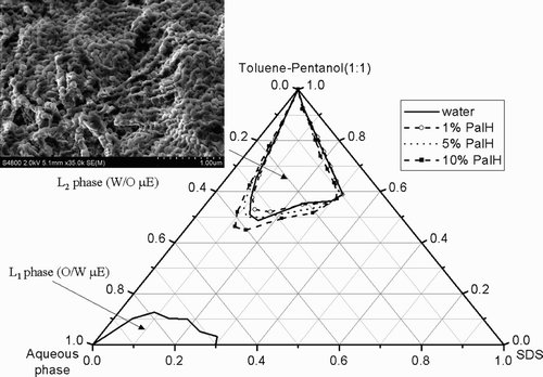 Fig. 2. Partial phase diagrams at 22°C of the quasi‐ternary system SDS/toluene‐pentanol (1:1)/water in presence of different PalH concentrations. Cryo‐SEM micrograph of the L2 phase without polymer.