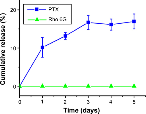 Figure S3 Paclitaxel (PTX) and Rhodamine 6G (Rho 6G) release at 4°C for all the three particle sizes (65 nm, 85 nm, and 110 nm) in PBS.Abbreviation: PBS, phosphate buffered saline.