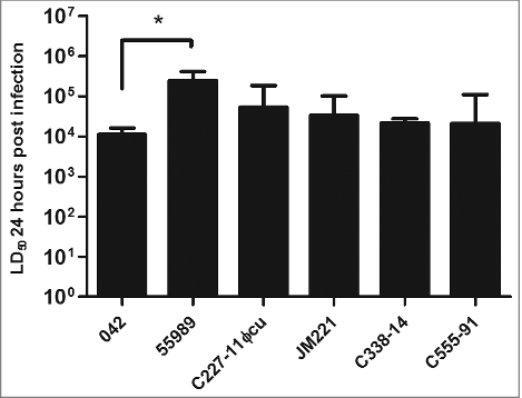 Figure 2. The LD50 of the strains were calculated using probit regression model (SPSS v. 20) for each isolate 24 h after G. mellonella larvae were inoculated with the bacteria. All strains showed to have similar LD50 value except for strain 55989, which had a significant higher LD50 than the other 5 strains tested (P < 0.05). Statistical significance between LD50 values were tested by performing one-way ANOVA with Dunnet post-test in GraphPad and the error bars displayed represent the 95 % confidence intervals