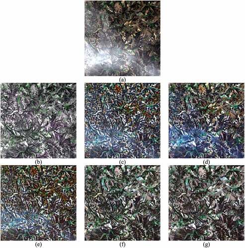 Figure 5. Comparison of the recovered results in the simulated experiment based on GaoFen-2: (a) simulated cloud-covered image; (b)–(f) recovered results from HOT, HTM, TDCP, SpA-GAN, and the proposed method; (g) ground truth.