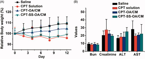 Figure 8. Body weight changes (A) and hepatic and renal function indicators (B) of LLC tumor-bearing C57 mice after treatment (n = 6).