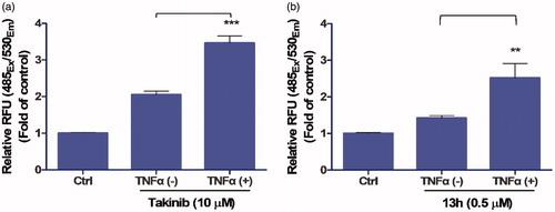 Figure 4. Effect of 13h on MDA-MB-231 cells. Caspase-3/7 activity of (a) Takinib (10 µM) and (b) 13h (0.5 µM) in the presence or absence of TNFα. Data are reported as the mean ± SD (n = 3). *** p < 0.001, ** p < 0.01.