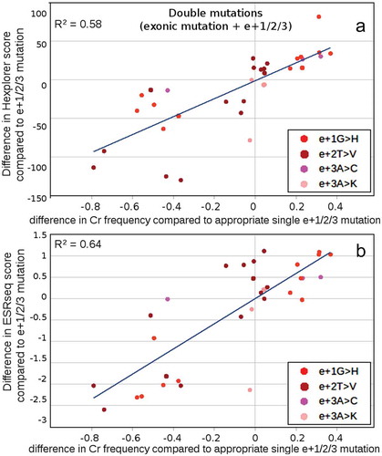 Figure 8. Modifying effect of exonic mutations on HEXplorer and ESRseq scores of intronic mutants. To elucidate how exonic mutations modify the effect of intronic mutations in e+1, e+2 and e+3 positions, HEXplorer scores (A) and ESRseq (B) scores of double mutants were compared with the appropriate single intronic mutants (double mut – single mut) and plotted against changes in cryptic 5′ss frequency in comparison with this frequency determined for appropriate single intronic mutant. The correlation shows the diversifying effect of exonic mutations on intronic mutations caused by SRE motif creation