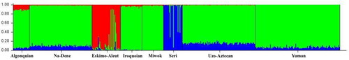 Figure 3. STRUCTURE plot comprising individuals from the six language groups and two language isolates, assuming the most probabilistic model of three true genetic groups (K = 3). The scale at the left margin reflects assignment probabilities to each of the three groups. The x-axis represents individuals from populations sorted according to their language groups/isolates. Each individual is represented by a vertical stacked column of colour-coded admixture proportions that reflect genetic contributions from each of the three true genetic groups.