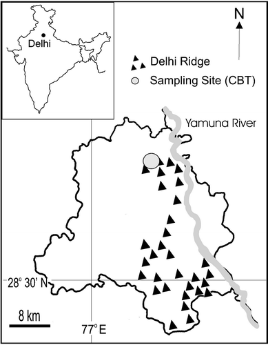 The sampling site located at the Institute of Genomics and Integrative Biology (Delhi University Campus) in Delhi Metropolis.