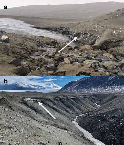 Figure 2. (a) Wales Stream sample site, facing southeast. White arrow indicates buried ice, covered in till, actively being undercut by Wales Stream above the delta where sample W1 was collected. New Harbor camp is out of the frame to the left. (b) Commonwealth Stream sample site facing northwest toward the accumulation zone of Commonwealth Glacier. White arrow indicates east–west trending horizontally continuous layer of buried ice near Commonwealth Stream along Coral Ridge from which samples C3 bottom, middle, and top were collected.