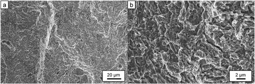 Figure 12. Fracture surface of AISI 4340 specimens produced at 80 J mm−3 using a 170 W laser power, showing transgranular decohesion facets.