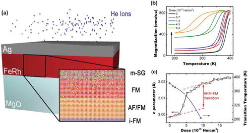 Figure 1. (a) Schematic diagram showing layered structure in gradient-dosed samples obtained from PNR measurements (m-SG = mesoscale spin glass, FM = ferromagnetic ordering, AF/FM = antiferromagnetic/ferromagnetic switchable metamagnetic ordering, i-FM = interfacial ferromagnetic ordering. (b) SQUID measurements of magnetization as a function of temperature for samples before and after He irradiation with varying doses. Arrow shows increasing background ferromagnetism with increased irradiation dose (c) (axis on the left-hand side) out-of-plane lattice constant c-parameter evolution as a function of dose measured by XRD (black squares); (axis on the right-hand side). Decreasing transition temperature with He-dose (blue triangles). Dashed lines show linear trend of c-parameter with dose in the two (AF/FM) magnetic phases.