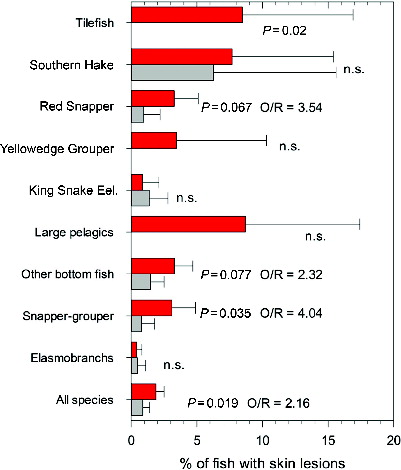 FIGURE 2. Mean percent (error bars show SEs) of fish within a species or species group with skin lesions examined in 26 repeated stations in 2011 (red) and 2012 (gray) in the NGM region. Abbreviations are as follows: O/R = the odds ratio of differences between years (2011/2012) and n.s. = not significant. [Color figure available online.]