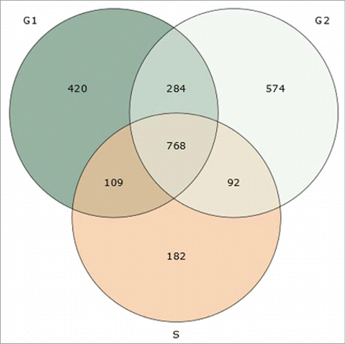 Figure 1. A Venn diagram showing the number of barley nuclear proteins identified in 3 different phases of cell cycle (unique and shared identifications).