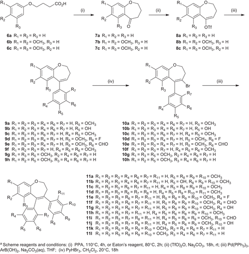 Scheme 1.  Synthesis of benzoxepins 11a–l. Scheme reagents and conditions: (i) PPA, 110°C, 4 h, or Eaton’s reagent, 80°C, 2 h; (ii) (TfO)2O, Na2CO3, 18 h, rt; (iii) Pd(PPh3)4, ArB(OH)2, Na2CO3(aq), THF; (iv) PyHBr3, CHCl2, 20°C, 18 h.