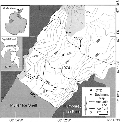 FIGURE 1. Bathymetry with locations of trap arrays and selected parts of acoustic transects (Fig. 5) in Lallemand Fjord at Müller Ice Shelf, Antarctic Peninsula. Isobaths (interval 100 m except dotted lines as marked) were drawn from a SeaBeam swath bathymetric survey in April 1999 (mainly documenting the sea floor below about 500 m depth) and an inshore 3.5 kHz sub-bottom acoustic survey from an inflatable boat in March 1998. The latter was controlled by a single GPS receiver with positions accurate to about ±50 m. Shorelines and the position of the ice front are drawn from the positions determined during the sub-bottom survey, which followed the shore within 100 m except in the western portion of the study area, where sea ice along the shore prevented access. Where isobaths are drawn in light gray areas (indicating that bathymetry is uncertain), they are estimated from CitationDomack et al. (1995). Ice fronts before 1998 are according to CitationWard (1995). The ice front in 1947 was located about as in 1974.