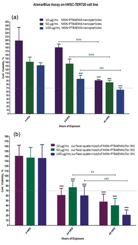 Figure 7. Illustrations of the effect of MSN-PTBAEMA nanoparticles on cell viability of hMSCs (a) and the effect of surface-quaternized of MSN-PTBAEMA (for 3 h) nanoparticles on cell viability of hMSCs (b), after being exposed to the nanoparticles for 4, 24 and 48 h, and Sideway bars indicate significance for the same concentrations at different exposure times and astride indicate the level of significance as follows: *P > 0.05, **P > 0.01, ***P > 0.001, ****P > 0.0001.