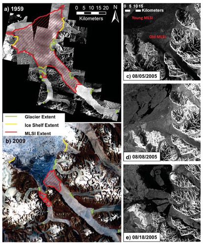 FIGURE 5. Changes in ice extent over 50 years in Yelverton Bay. (a) Air photo mosaic, June–August 1959. (b) ASTER mosaic, July 2009. (c–e) RADARSAT-1 ScanSAR Wide images showing the August 2005 MLSI breakup in Yelverton Bay. (c) 5 August 2005 20:15 UTC; old and new MLSI intact. (d) 8 August 2005 20:28 UTC; younger MLSI begins to break away. (e) 18 August 2005 20:36 UTC; old MLSI has broken at the mouth of the inlet and moved into outer Yelverton Bay.