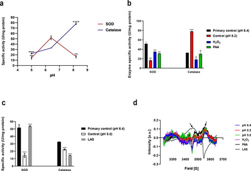 Figure 3. Effect of pH alone (a), alkaline treatments (b) and LAS treatment (c) on SOD and catalase activities. Electron paramagnetic resonance spectra (d) for samples supernatants. Supernatants for EPR experiments were obtained after bacterial exposure to pH 6.4 (primary control); pH 8.2 (control for PAA, H2O2); pH 5.0 (control for LAS); H2O2; PAA; LAS. Each sample contained 10 µg/mL soluble proteins.
