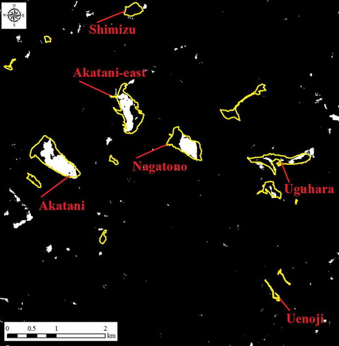 Figure 14. Landslide areas detected by COSMO-SkyMed using intensity correlation with no speckle filter (yellow polygons: landslide areas detected by EROS-B image; white: landslide areas detected by COSMO-SkyMed images).