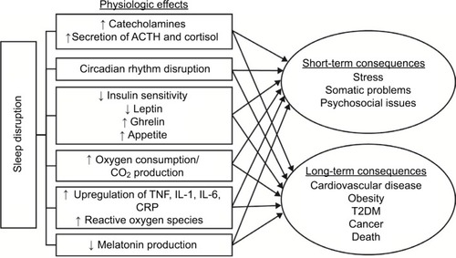 Figure 1 Proposed mechanisms by which sleep disruption is thought to exert its detrimental short- and long-term effects.